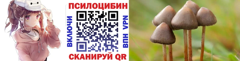 Псилоцибиновые грибы Psilocybine cubensis наркотики Оленегорск